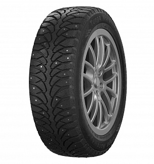 Шина Tunga Nordway 2 PW-5 205/65 R15 94Q