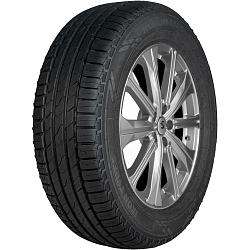 Шина Ikon Nordman S2 SUV 225/60 R17 99H